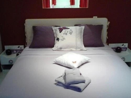 Chez Virginie Chambres d'hotes photo 4