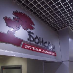 Kosmos photo 3