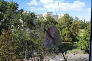 Mozart photo 3