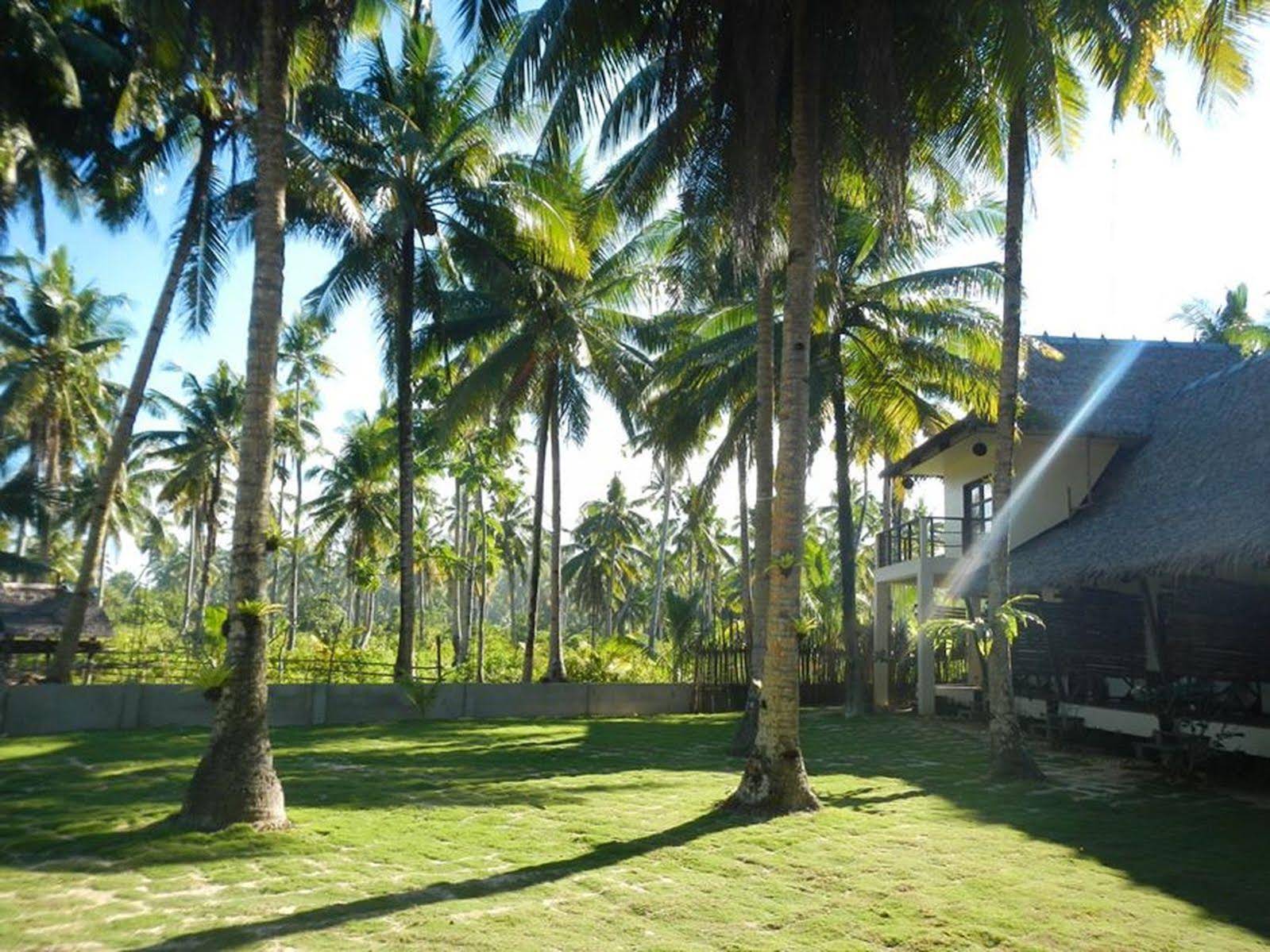 Buddha's Surf Resort — фото 5