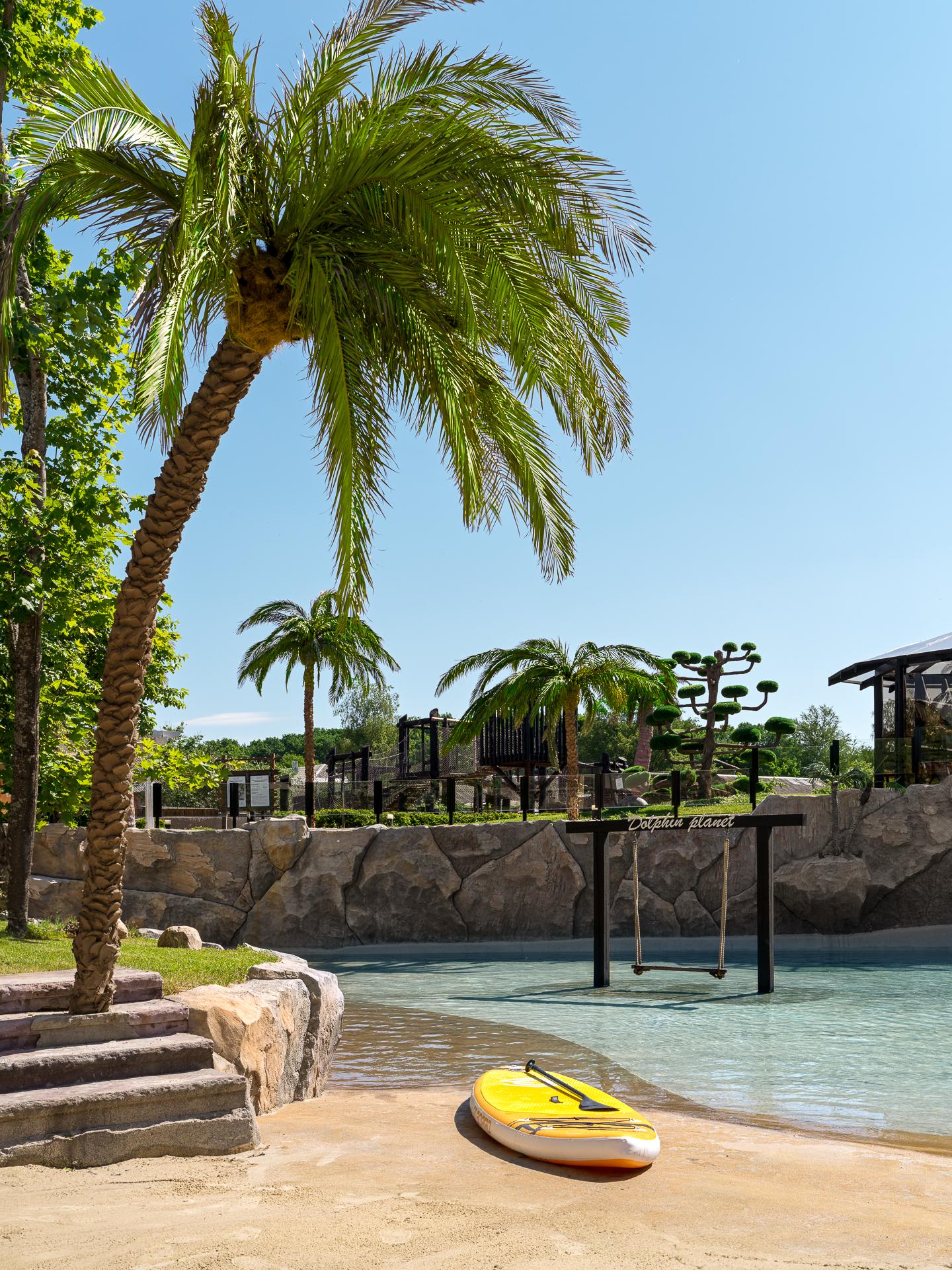 Dolphin Planet Hotel photo 3