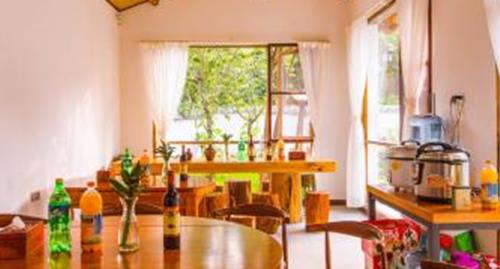Swallow Nest Guesthouse photo 2