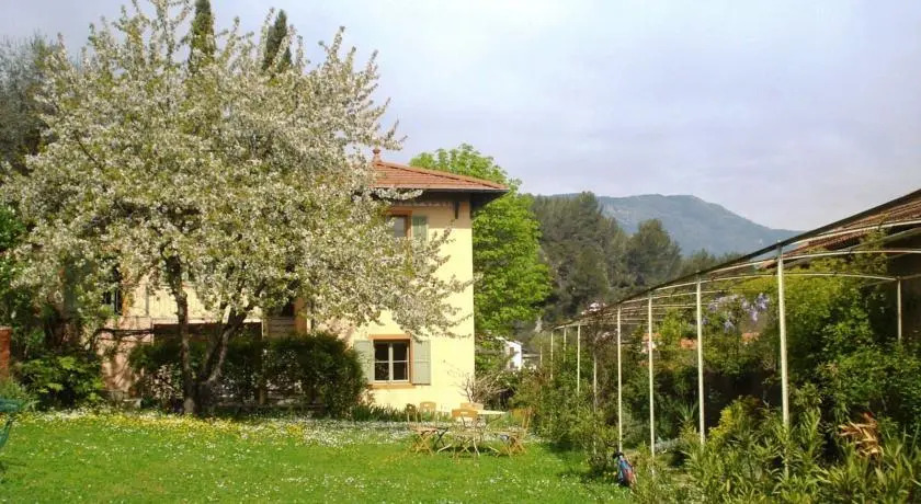 Les Cypres photo 4