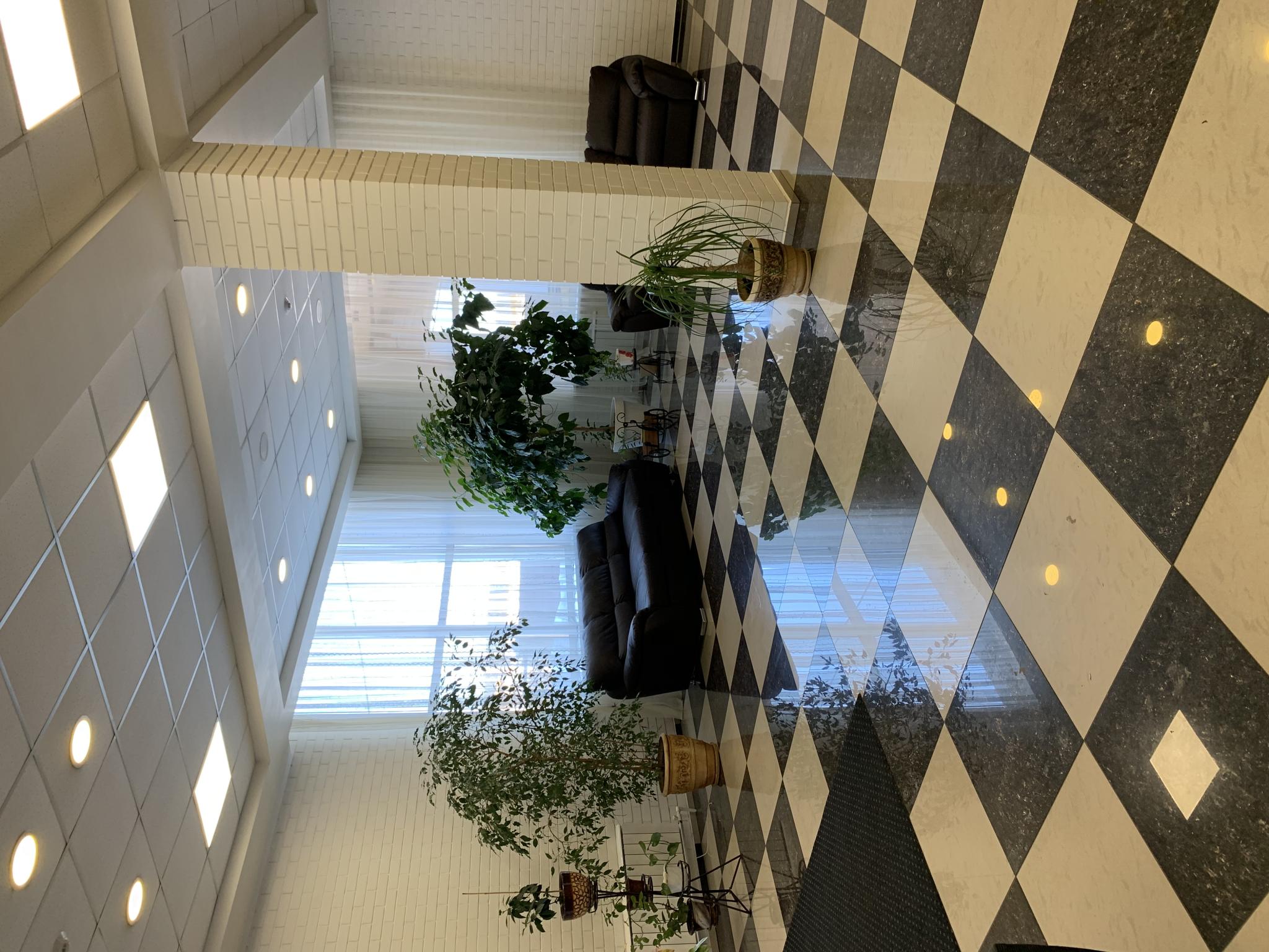 Irbis photo 2