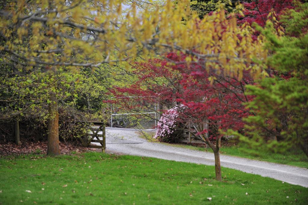 Hd Mountain Villa photo 5