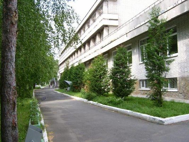 MELNICHNYI RUCHEI photo 2