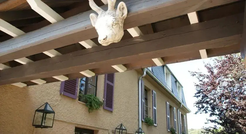 Le Point De Vue