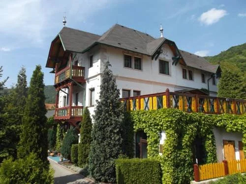 HOTEL PENZION SRDÍČKO photo 3