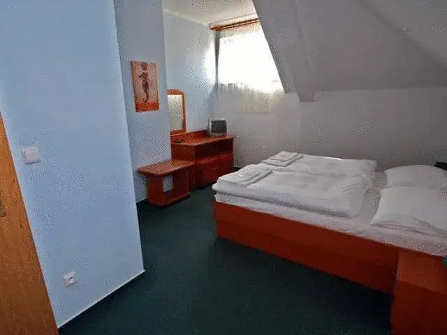 Hotel Čech photo 3
