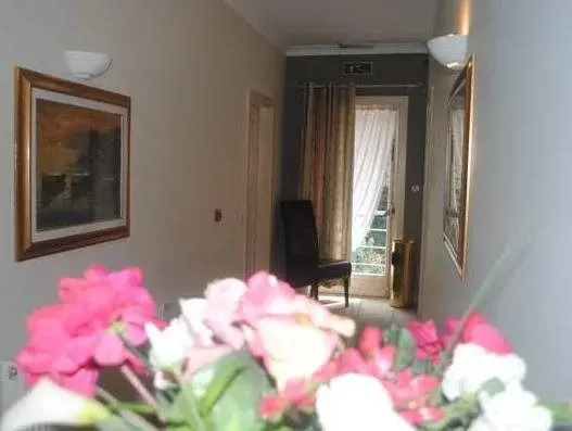 Paradiso photo 3