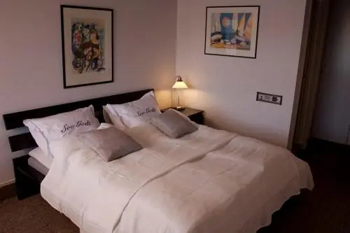 Birkeland Hotel photo 5
