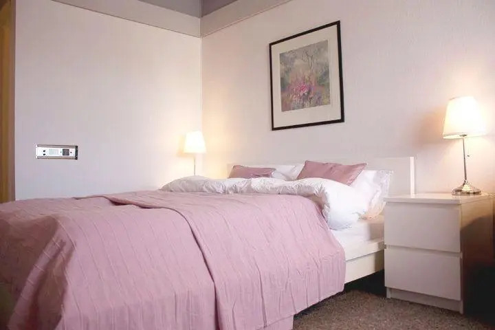 Birkeland Hotel photo 4
