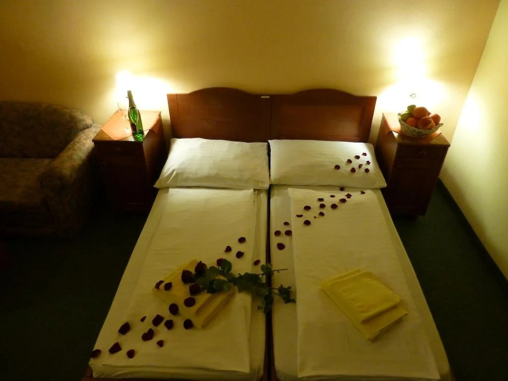 Hotel Korunní Princ photo 3