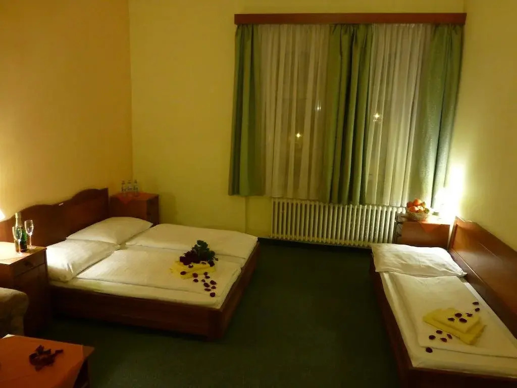 Hotel Korunní Princ photo 4