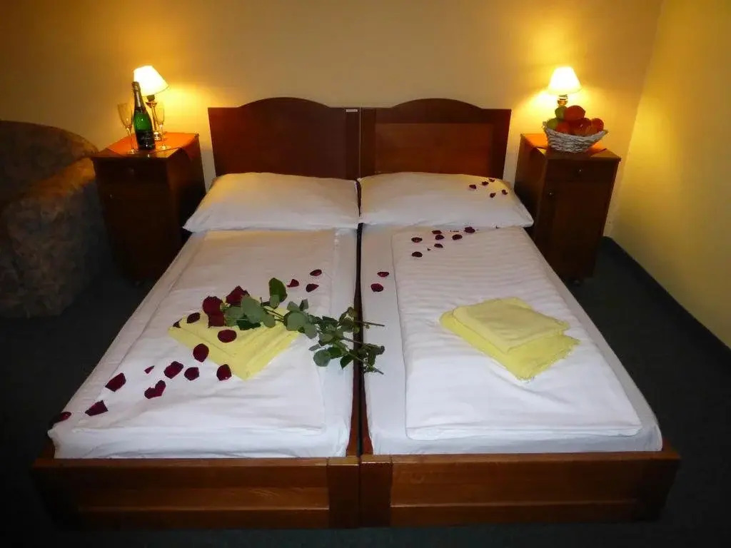 Hotel Korunní Princ photo 2