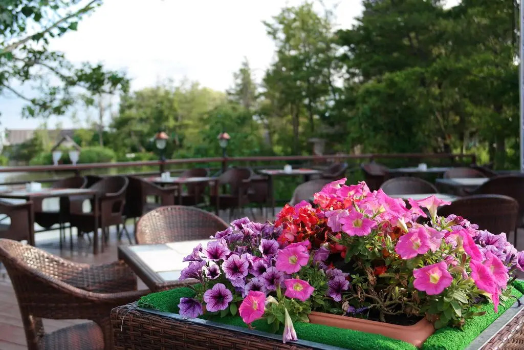 Ozero Divnoe Park-hotel photo 2