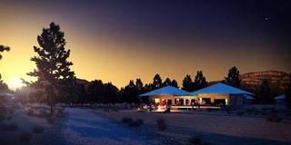 Ikara Safari Camp photo 2