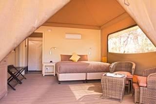 Ikara Safari Camp photo 5