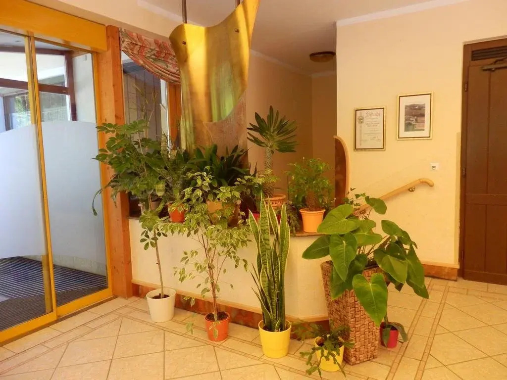 Naturwellnesshotel Moorquell photo 4
