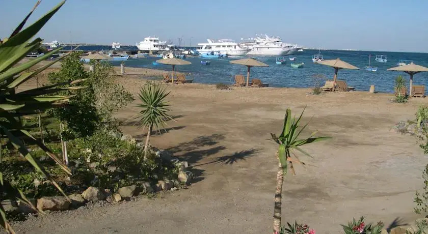 Amira Hotel Safaga photo 5