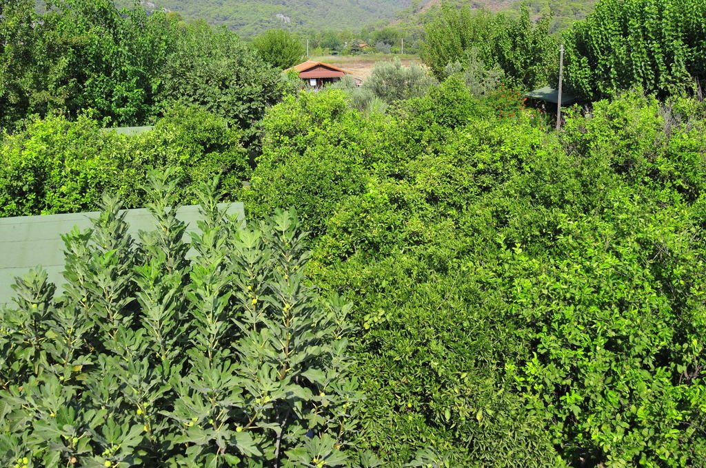 Deniz Pension photo 5