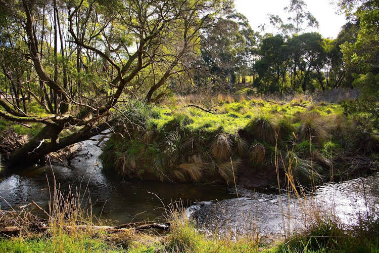 Green Gully House photo 3