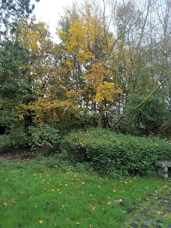 PANTGAT HOF photo 4