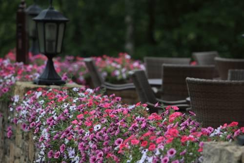Hotel Schumacher photo 4