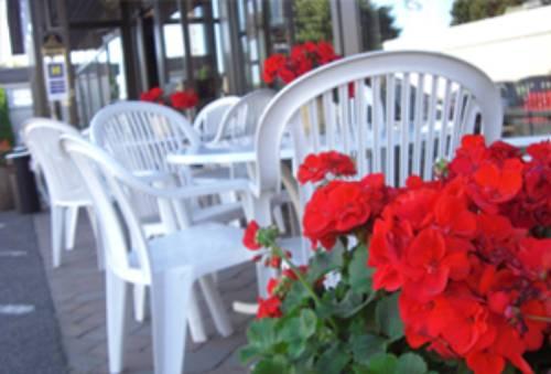Best Western Perenius Plaza Hotel photo 3