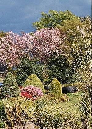 Kirkbank House photo 4
