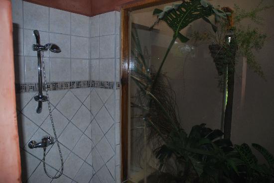 Tenorio Lodge photo 3