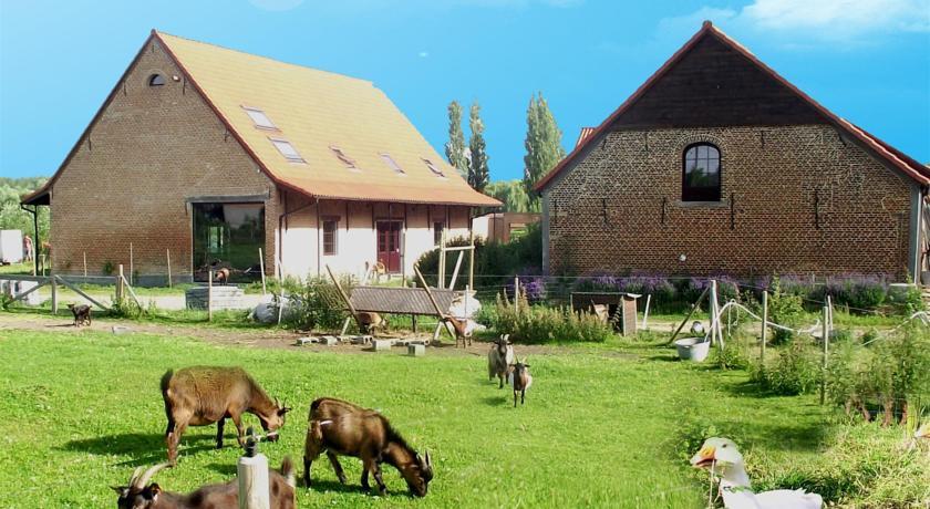 De Plukboerderij en B&B van Schelle
