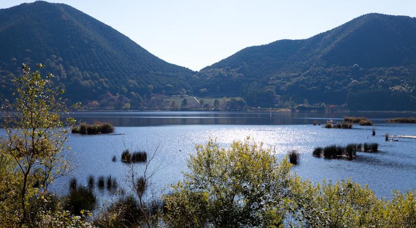 Dog Resort Kagoshima CoCo Fore Imuta photo 2