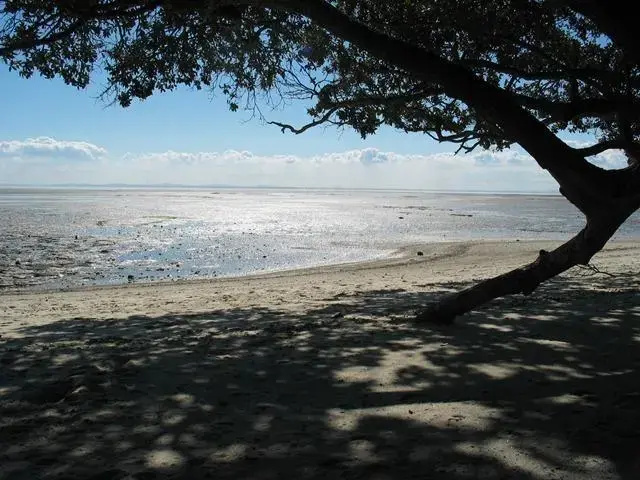 Clarks Beach Holiday Park photo 4