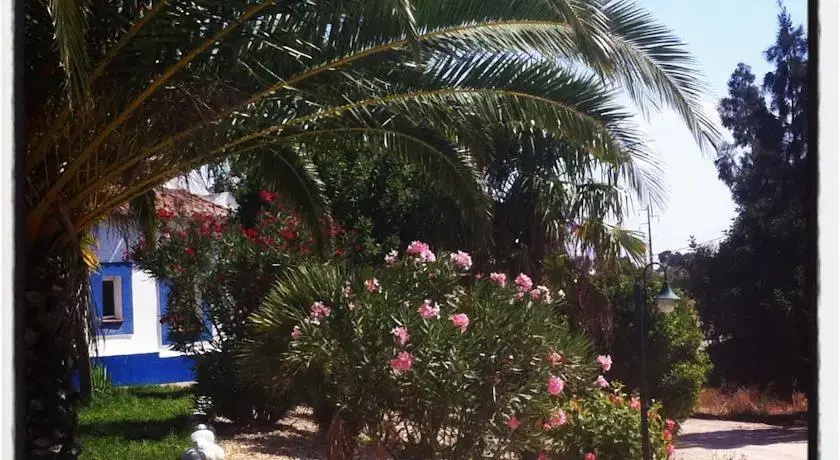 Monte Aguentinha do Campo photo 2