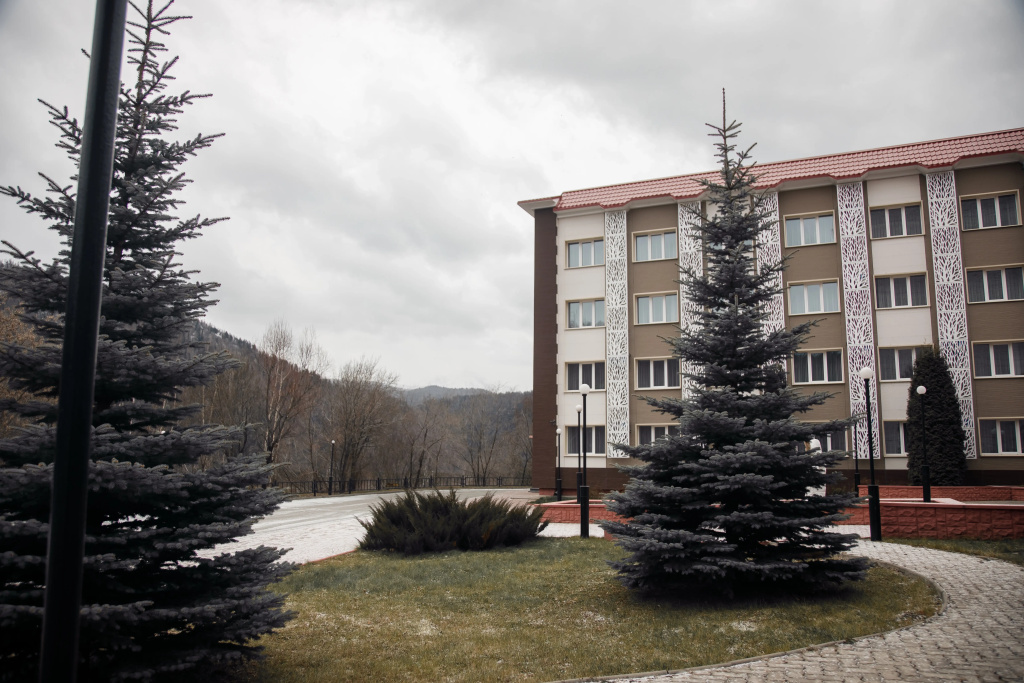 Borus photo 5