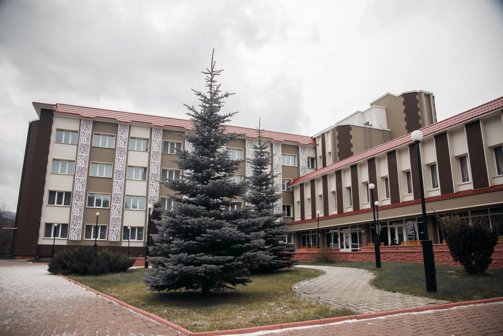 Borus photo 4
