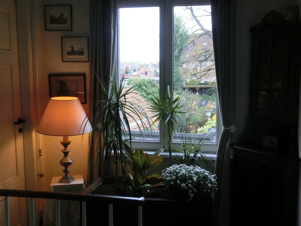 'T Heerenhuys Ursel photo 5