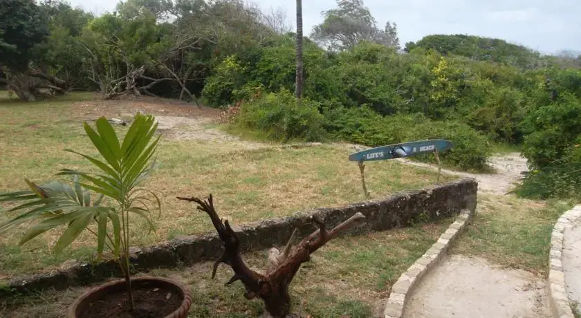 Surf Breaker photo 5
