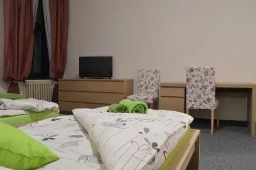 Hotel Český Dům photo 5