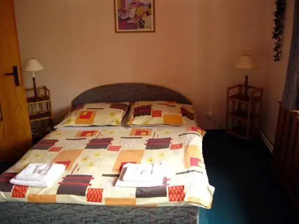 Hotel Český Dům photo 4
