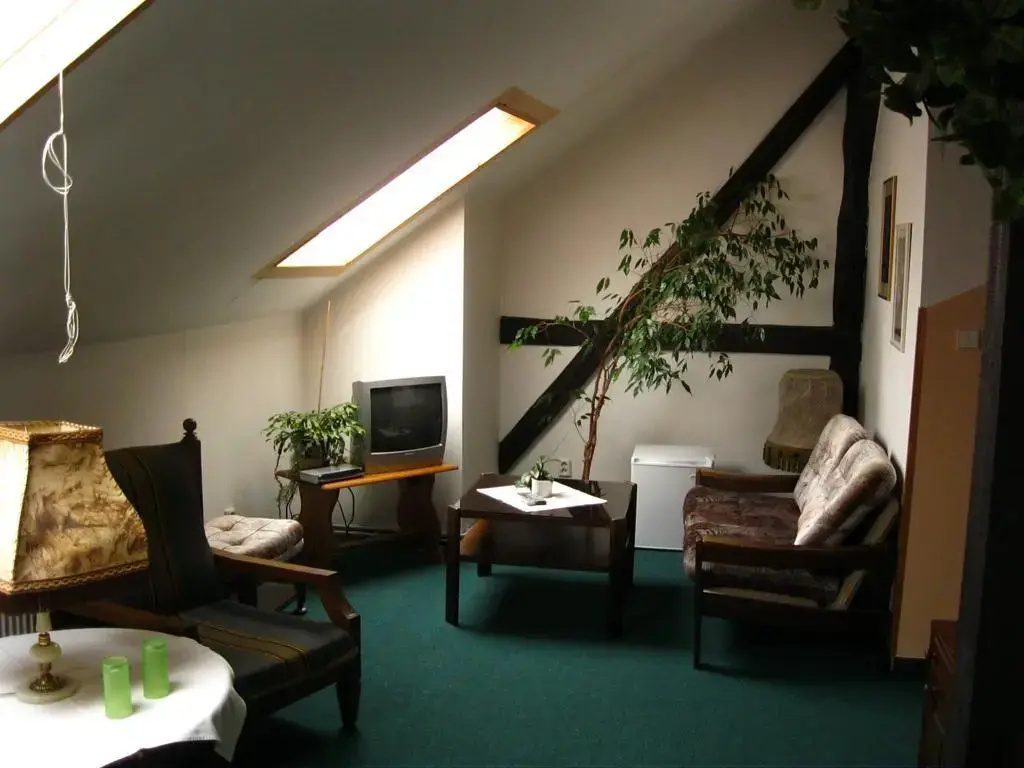 Hotel Český Dům photo 2