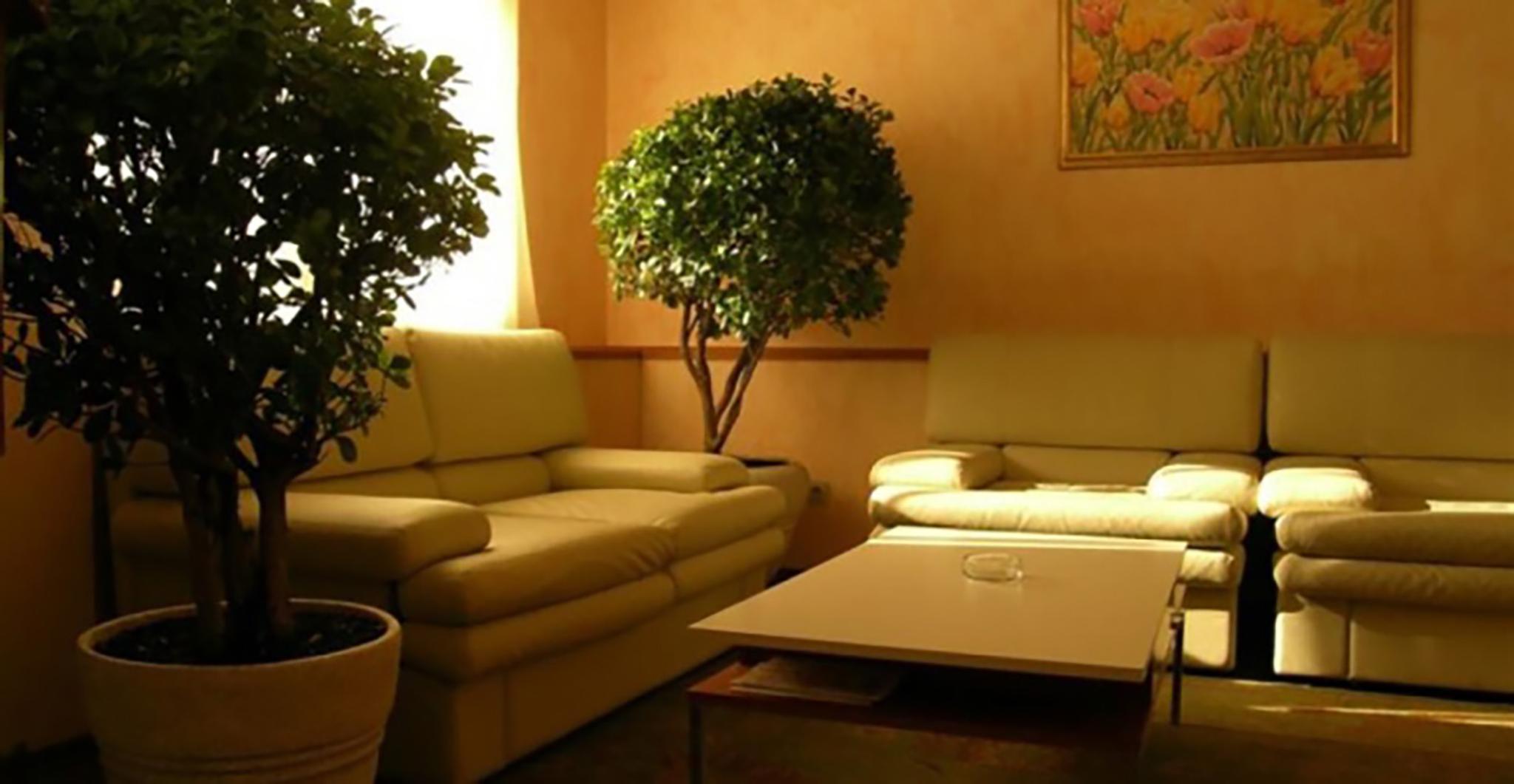 Alexandrovsky Park Hotel photo 3