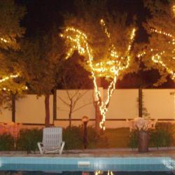 Laguna Hotel photo 2