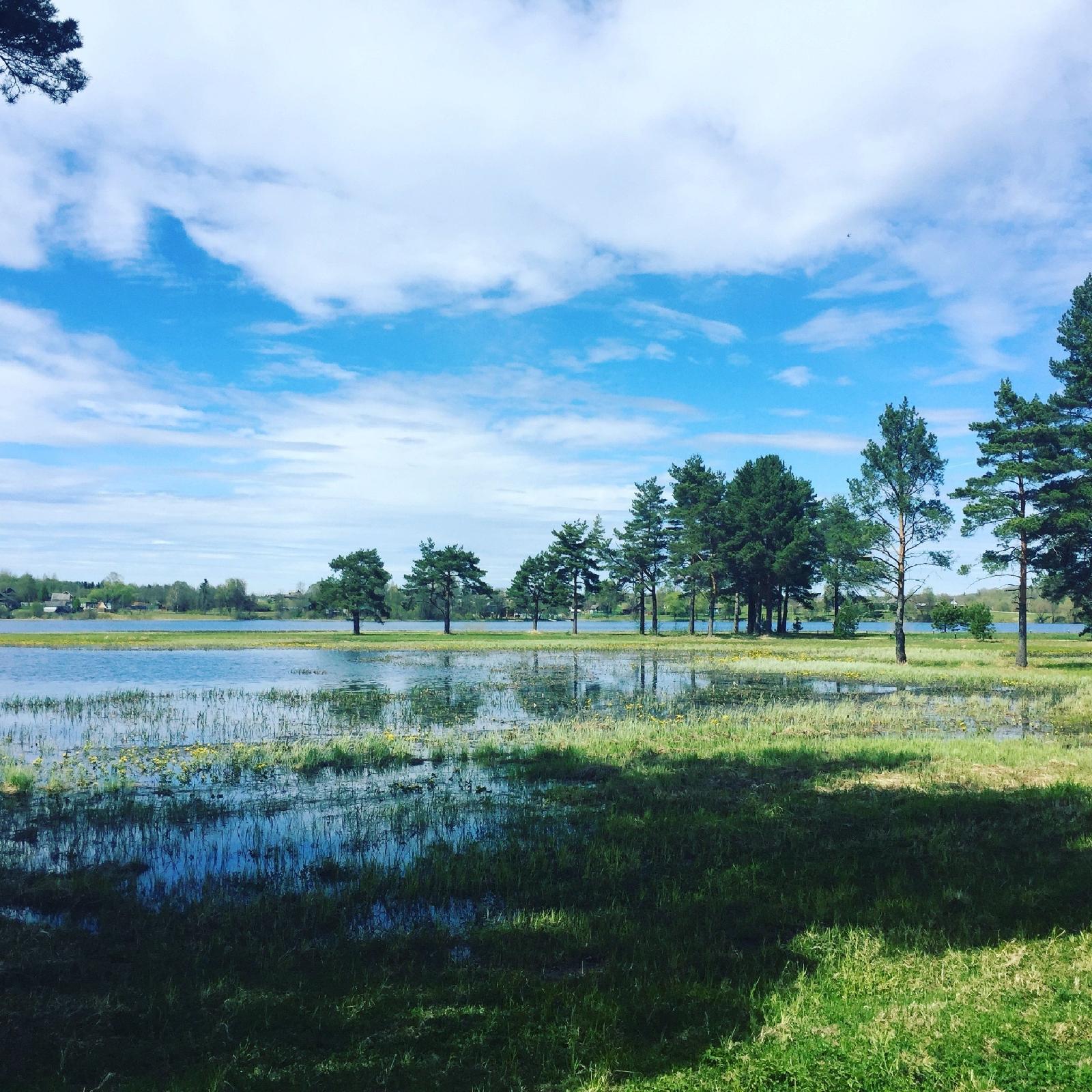 Green Gold Park photo 3