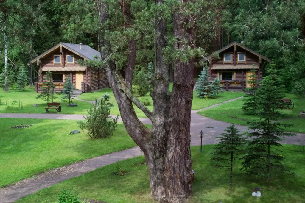 Verizhitsa Guest house photo 2