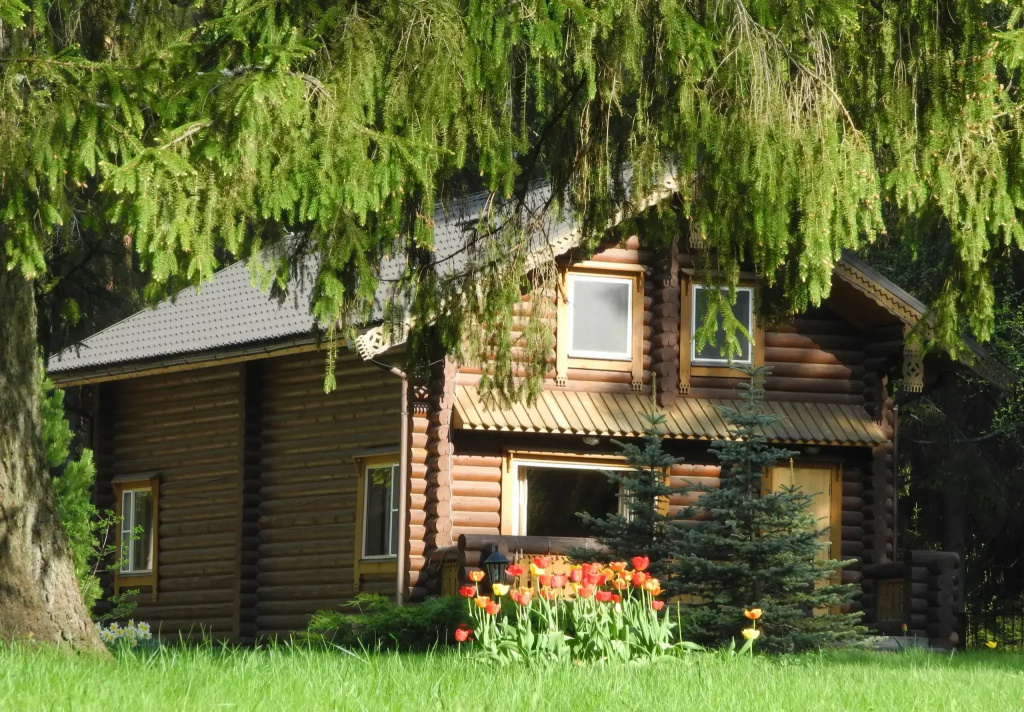 Verizhitsa Guest house photo 3
